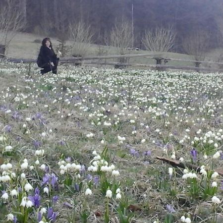 Садиба Під Гострою ชเดนิเยโว ภายนอก รูปภาพ