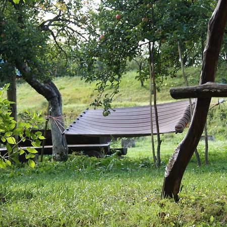 Садиба Під Гострою ชเดนิเยโว ภายนอก รูปภาพ