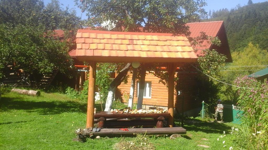 Садиба Під Гострою ชเดนิเยโว ภายนอก รูปภาพ
